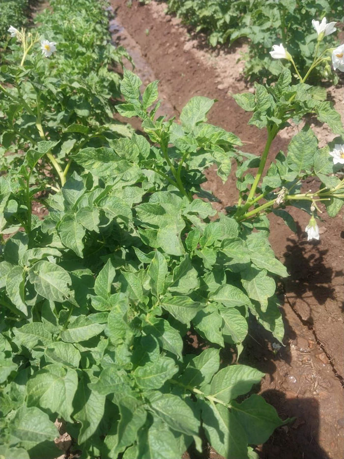 Изображение галереи 7