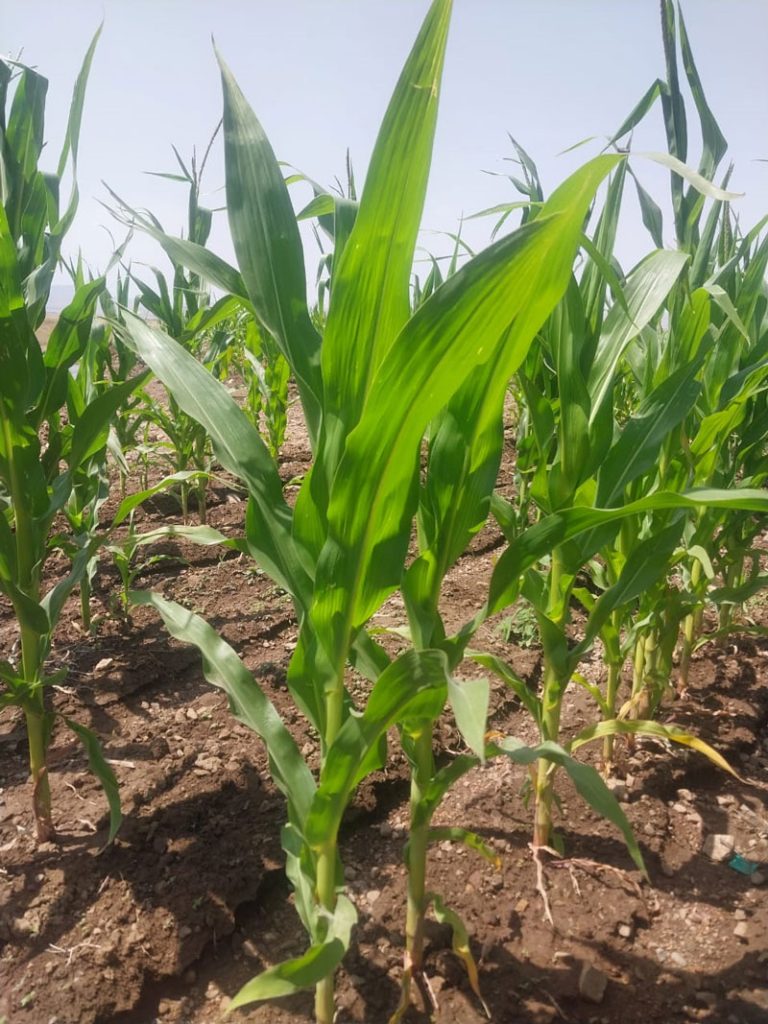 Изображение галереи 11